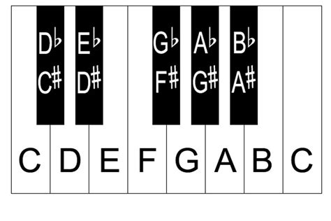 Sharps and Flats | Piano keyboard layout, Piano, Keyboard lessons