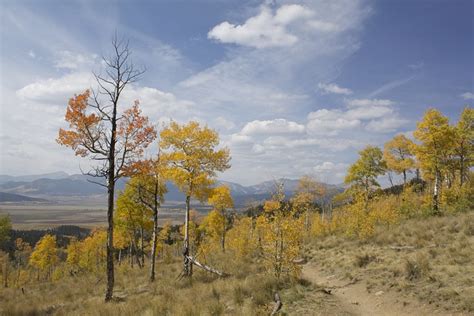 Aspen Colorado Trail - Free photo on Pixabay - Pixabay