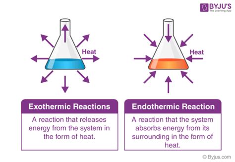 Is Respiration Endothermic or Exothermic - GeorgeilRussell