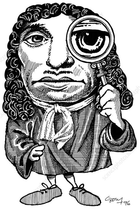 Anton van Leeuwenhoek, caricature - Stock Image H412/0408 - Science ...