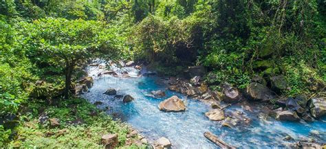 Rio Celeste Waterfall & Tenorio Volcano National Park Guide