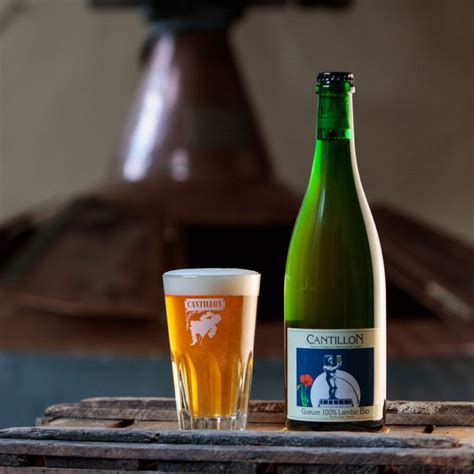 Top 10 Best Lambic Beer Brands To Try in 2023