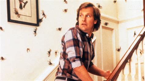 Arachnophobia (1990) - About the Movie | Amblin