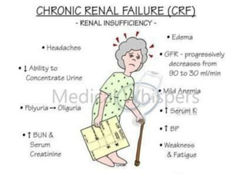 Nursing Mnemonics Kidney Failure Chronic renal failure med surg ...