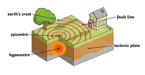 Earthquake Cross-Section - Twinkl Homework Help - Twinkl