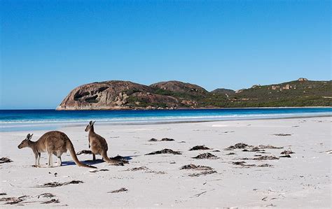 Adelaide Australia Beaches - Beach Travel Destinations