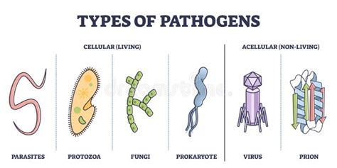 Types of Pathogens, Cellular, and Non Living Virus Organisms Outline ...