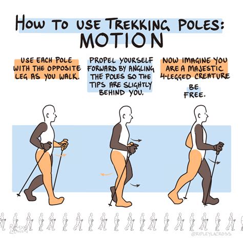 How to Use Trekking Poles - Ripley LaCross