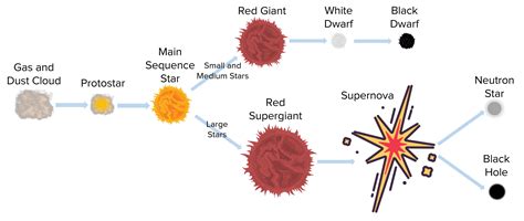 Life Cycle of a Star Worksheets, Questions and Revision | MME