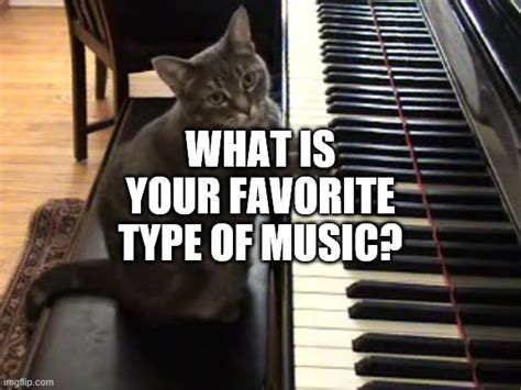 Piano Cat Meme Cartoon