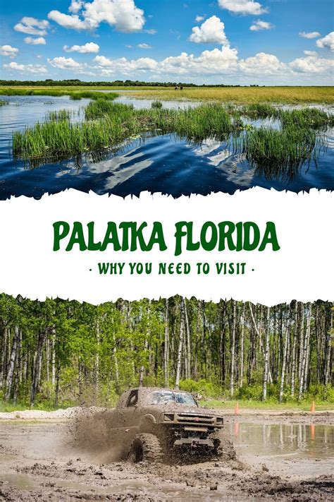 Palatka florida discover the top activities and attractions – Artofit