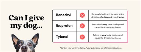 Is Childrens Benadryl Safe For Dogs