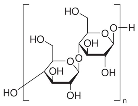 Microcrystalline Cellulose Powder