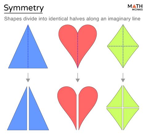 Symmetry In Shapes