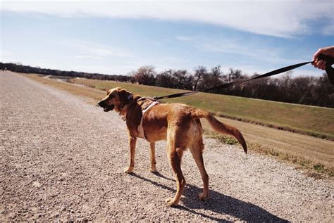 35mm Film Examples: The Unforgettable First Roll - saltedpages.com