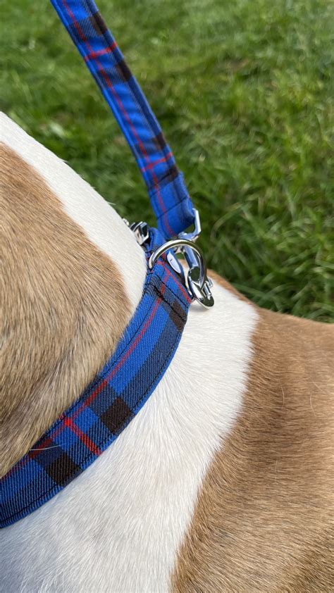 Handmade Tartan Dog Collar | CLAN