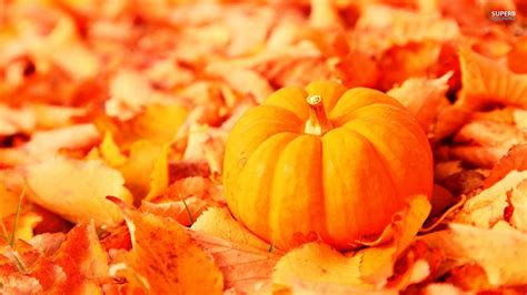 Fall Pumpkin Wallpaper and Screensavers (63+ images)