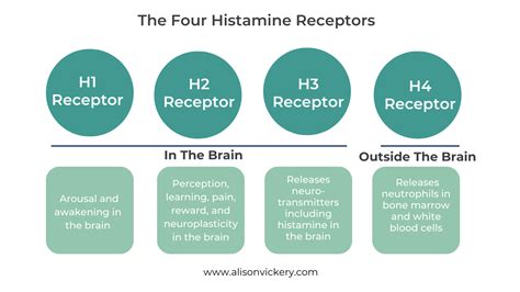 HISTAMINE AND THE NERVOUS SYSTEM - ALISON VICKERY