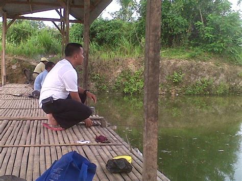 Umpan Juara Lomba mancing Ikan Mas Ala Pa Adang ~ FOKUS MANCING