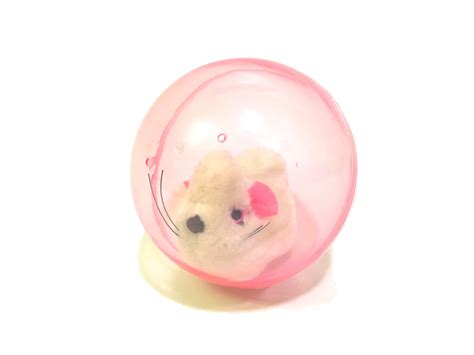 Hamster Ball - Chew Time