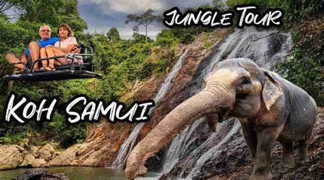 A Guide to The Best Elephant Sanctuary on Koh Samui