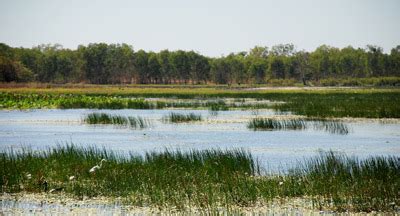 Kakadu National Park Attractions, Facts & History