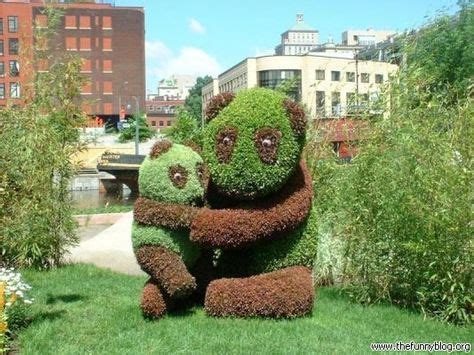 18 Hilarious Gardening Pics! ideas | topiary garden, hilarious, bones funny