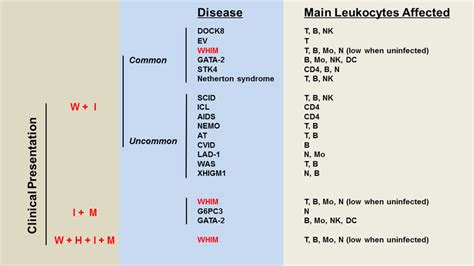 Differential diagnosis of WHIM syndrome. The algorithm is based on ...