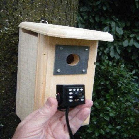 Birdhouse Spy Cam HD Backyard Backyard Birdhouse with Hawk Eye HD ...