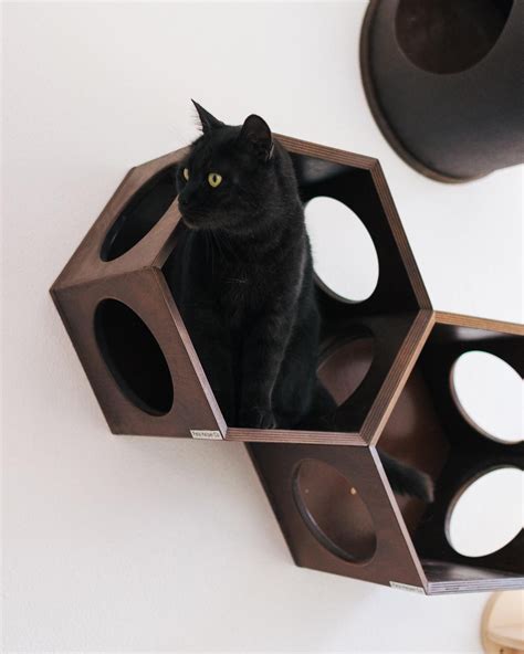 Cat hexagon house Modern Cat Bed Wall Mounted Cat Bed Cat Wall Shelf ...