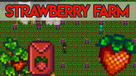 How To Get Strawberries Stardew Valley