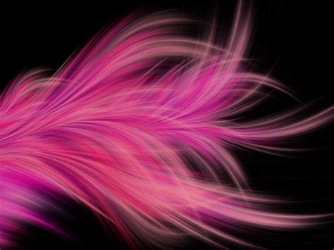 Pink Fractal Abstract Feather, HD Abstract, 4k Wallpapers, Images ...