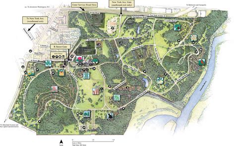 Photography Guide to the National Arboretum (DC)