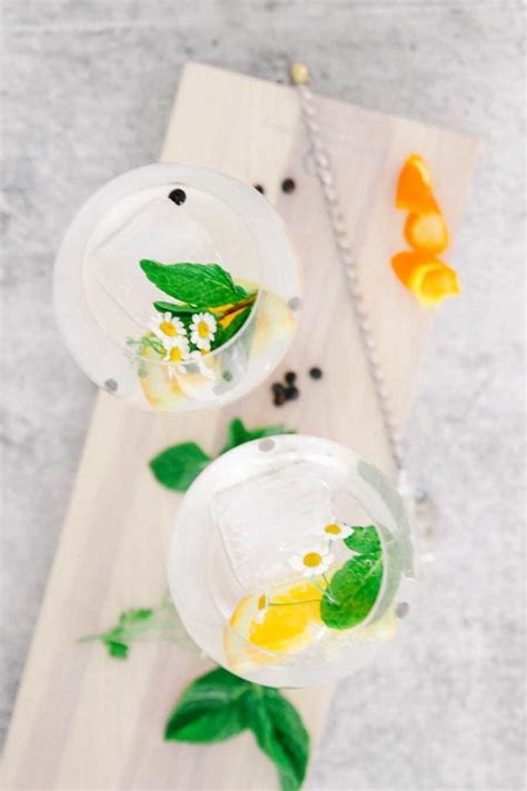 Spanish Gin and Tonic Recipe - Modern Glam - Recipes