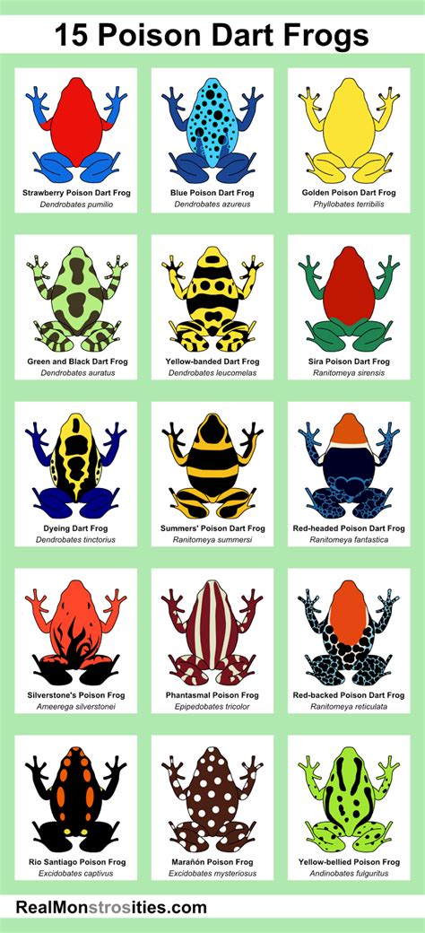 Real Monstrosities: 15 Poison Dart Frogs