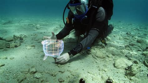 Underwater Archaeology: discovery, preservation and treasure hunting ...