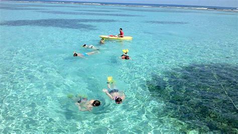 Roatan Shipwreck Snorkel Tour