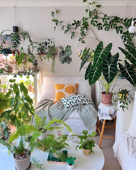 The Power of Plants in Home Decor: How to Decorate With Plants