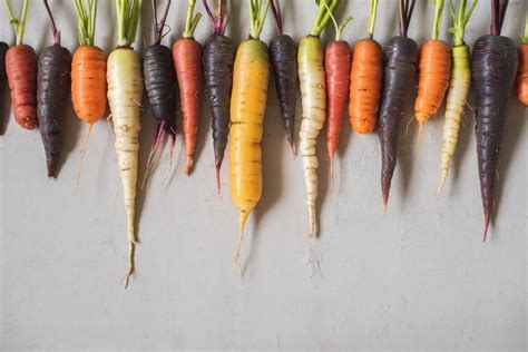 Carrot Types, Varieties, And Hybrids To Grow