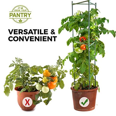 Tomato Plant Cages | 3 Pack of Strong and Durable Plant Cages – Grow ...