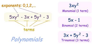 Definition of Trinomial