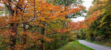 Shenandoah Fall Colors 2025 - John Clarkson