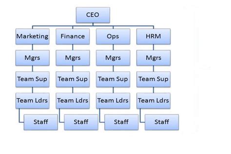 Hierarchical Organisational Structure Diagram Hierarchical O