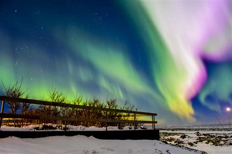 Happy Northern Lights Tour from Reykjavík | Guide to Iceland