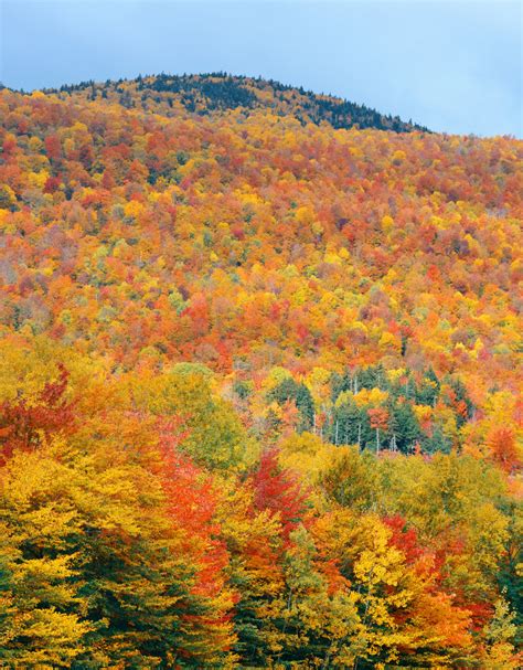 white-mountains-fall-foliage-tour - Gina Bear's Blog