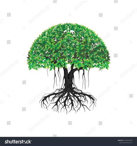 Tree Vector Illustrations Roots Mangrove Tree Stock Vector (Royalty ...