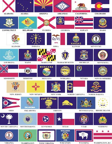 All 50 States Flags