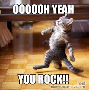 25 Memes To Say "You Rock!" - SayingImages.com