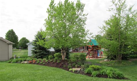 Full image with footer | Front lawn landscaping, Evergreen landscape ...