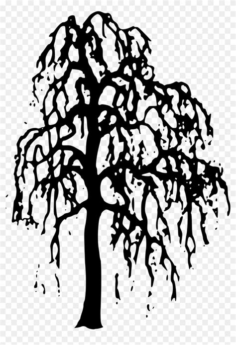 Willow Tree Clipart - Willow Tree Silhouette Png, Transparent Png ...